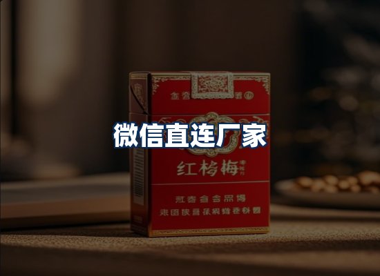 专业团队办公环境